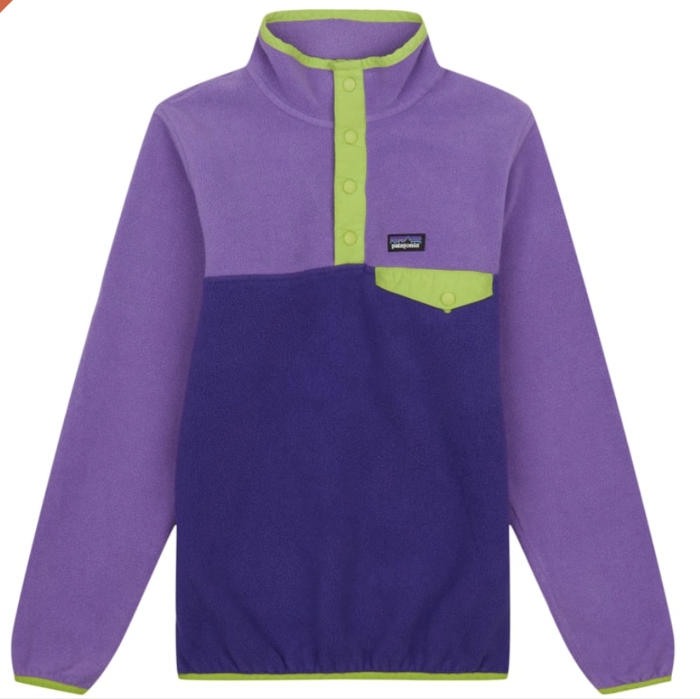 Patagonia Snap-T Synchilla Pullover